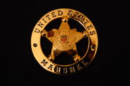 HEAVY 3 DIMENSIONAL "BADGE" WITH FLAT BACK SUITABLE FOR MOUNTING