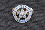 SILVER LAPEL PIN