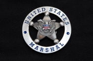 HEAVY 3 DIMENSIONAL "BADGE" WITH FLAT BACK SUITABLE FOR MOUNTING