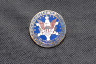 SILVER LAPEL PIN