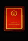 U.S. MARSHAL PLAQUE